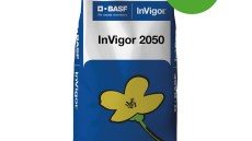 InVigor® 2050